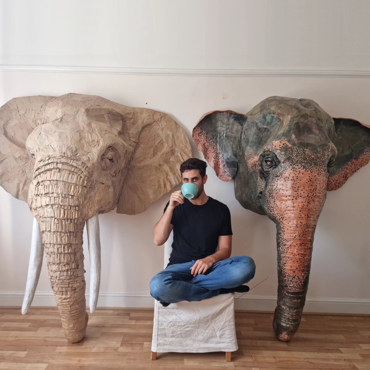 484490146 687384997126799 5374735135343704646 n