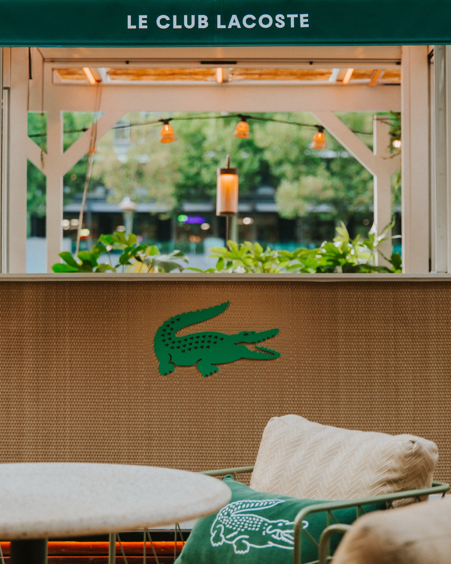 616226247 18554467717053716 5059336160635249470 n