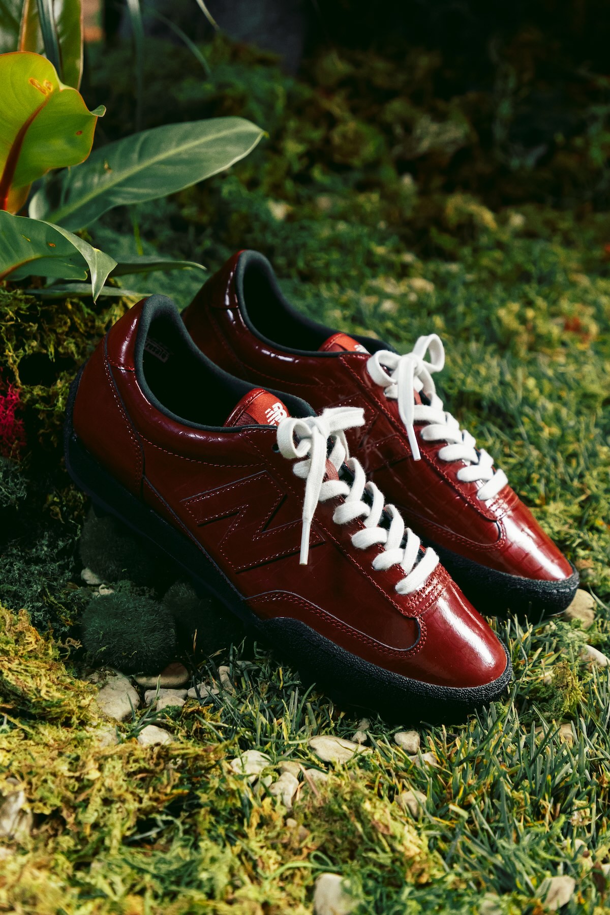 cncpts new balance gator run avedaily