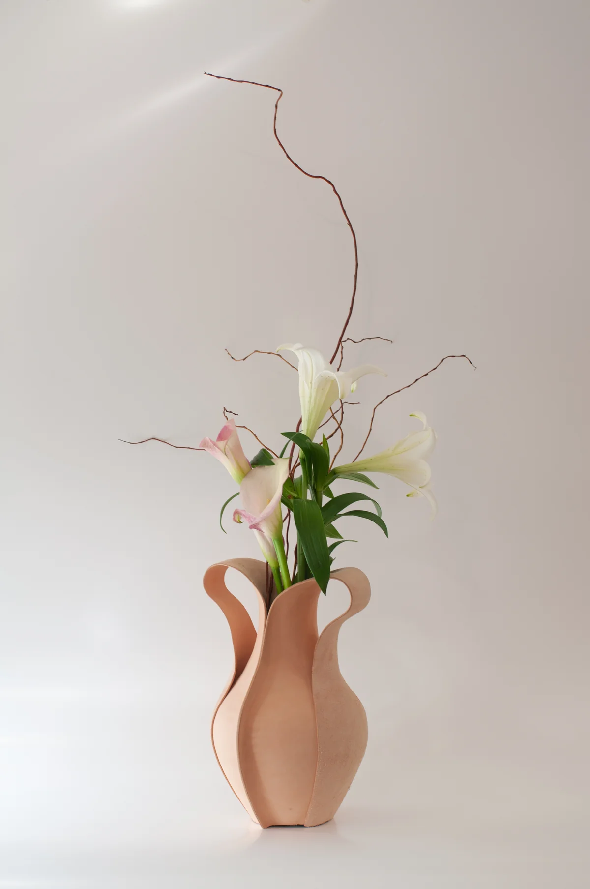 reblooming 1